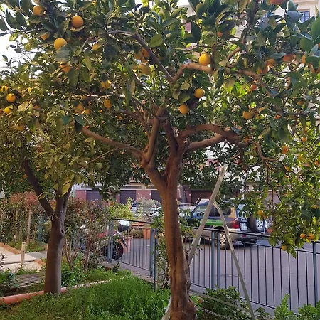 Casa Angelina 3* 아치레알레